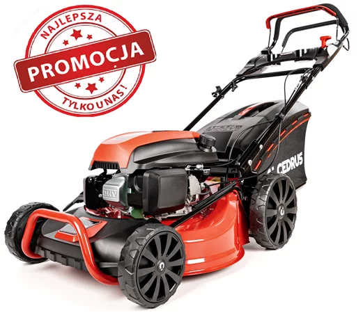 Kosiarka spalinowa Cedrus KS48S z napędem
