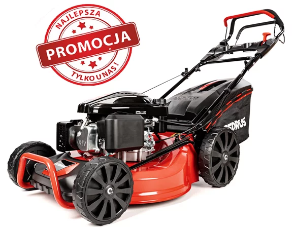 Kosiarka spalinowa Cedrus KS53S-L z napędem